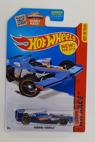 Picture of Winning Formula #135 HW Race.